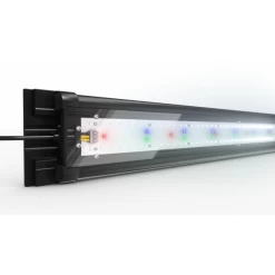 Juwel Helialux Spectrum Tube Verlichting 534 Mm 2900 Lumen