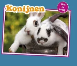 Dier In Huis: Konijnen Christina Mia Gardeski