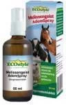 ECOstyle Melissengeist Ademspray 50 Ml