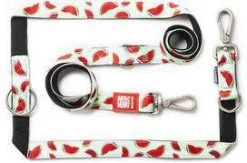 Max & Molly Multifunctionele Hondenlijn Watermelon200cm Lang 15mm Breed