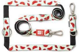 Max & Molly Multifunctionele Hondenlijn Watermelon200cm Lang 15mm Breed