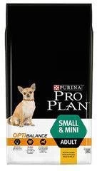 Pro Plan 15% Korting! PURINA Hondenvoer Small & Mini Puppy Sensitive Skin Lachs & Reis 2 X 3 Kg - Image 8