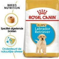 Royal Canin Breed 2x12kg Labrador Retriever Puppy Hondenvoer - Afbeelding 8